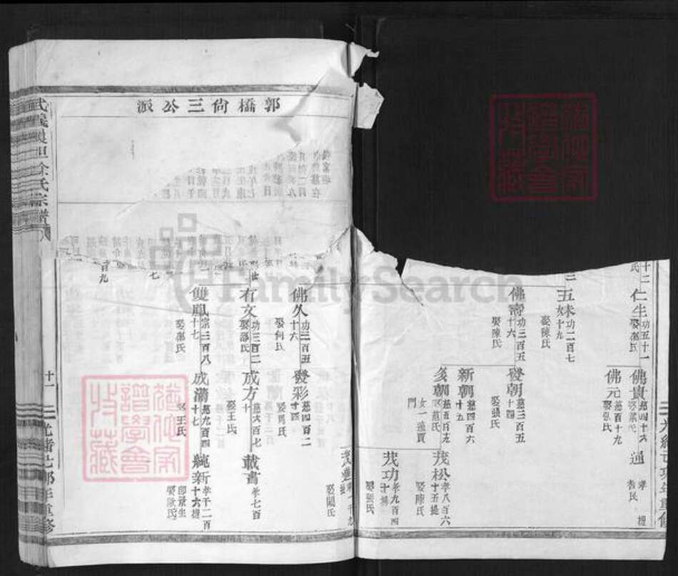 浙江省金华市武义县履坦镇徐氏惇本堂族谱-武义履坦徐氏宗谱.pdf电子版预览图2