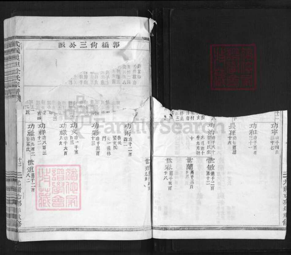 浙江省金华市武义县履坦镇徐氏惇本堂族谱-武义履坦徐氏宗谱.pdf电子版预览图3