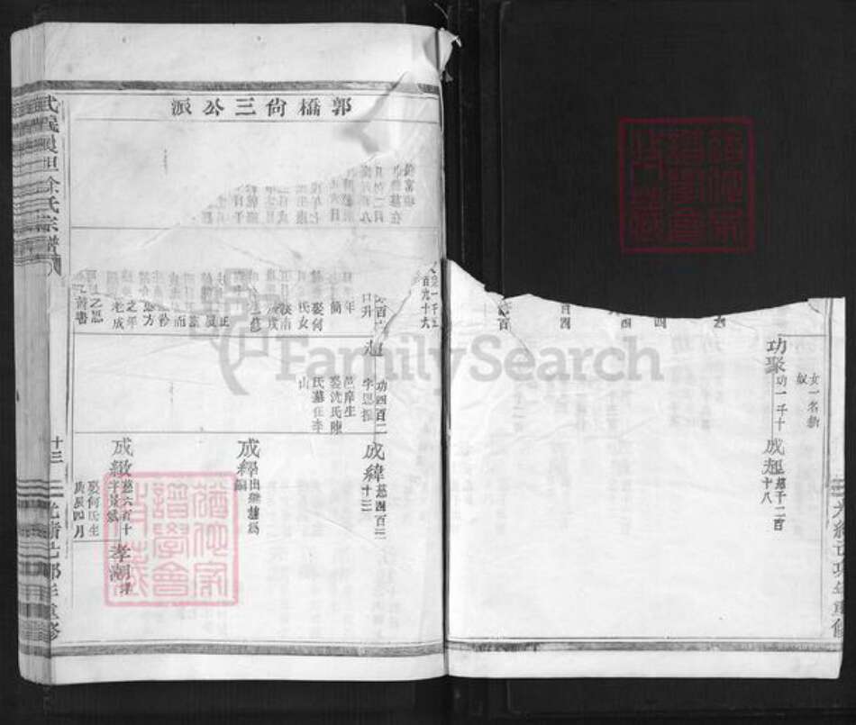 浙江省金华市武义县履坦镇徐氏惇本堂族谱-武义履坦徐氏宗谱.pdf电子版预览图4