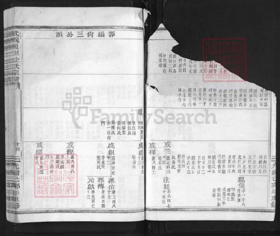 浙江省金华市武义县履坦镇徐氏惇本堂族谱-武义履坦徐氏宗谱.pdf电子版预览图5