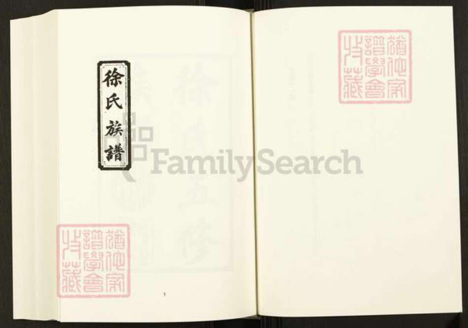 四川省四川省资阳市徐氏东海堂族谱-中国珍稀家谱丛刊.四川家谱.第41~48册.徐氏五修族谱.pdf电子版预览图3