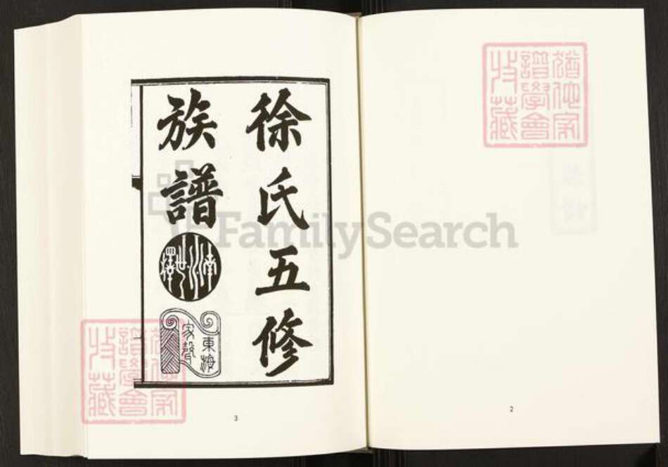 四川省四川省资阳市徐氏东海堂族谱-中国珍稀家谱丛刊.四川家谱.第41~48册.徐氏五修族谱.pdf电子版预览图4