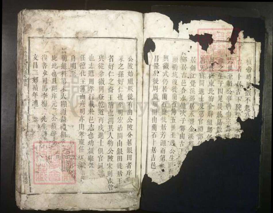 江西省吉安市吉水县徐氏族谱-吉水公陂徐氏重修族谱[不分卷].pdf电子版预览图2