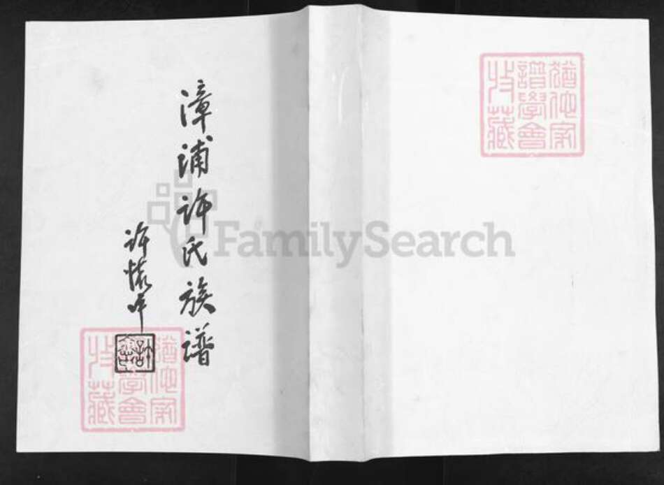 福建省漳州市龙海市东园镇许氏族谱-漳浦许氏族谱.pdf电子版缩略图