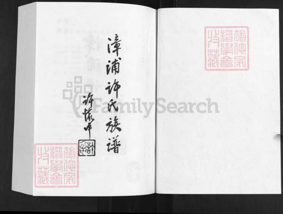 福建省漳州市龙海市东园镇许氏族谱-漳浦许氏族谱.pdf电子版预览图1