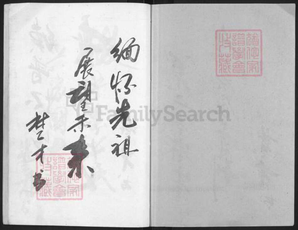 湖南省益阳市许氏高阳堂族谱-许氏八修族谱.pdf电子版预览图2