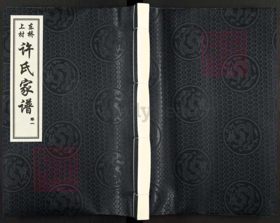 河北省衡水市衡水故城许氏族谱-东桥上村许氏家谱.pdf电子版缩略图