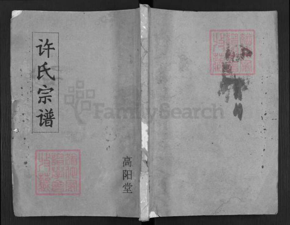 江苏省盐城市阜宁县益林镇许氏高阳堂族谱-许氏宗谱.pdf电子版缩略图