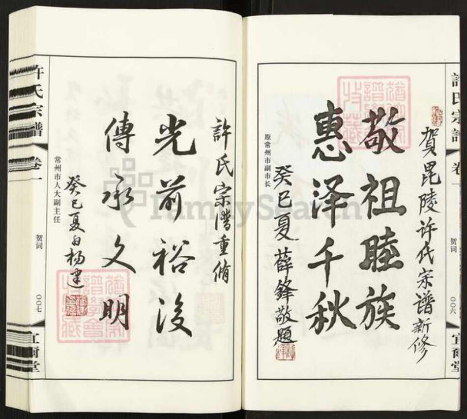 江苏省徐州市新沂市新安街道许氏宜尔堂族谱-许氏宗谱.pdf电子版预览图5