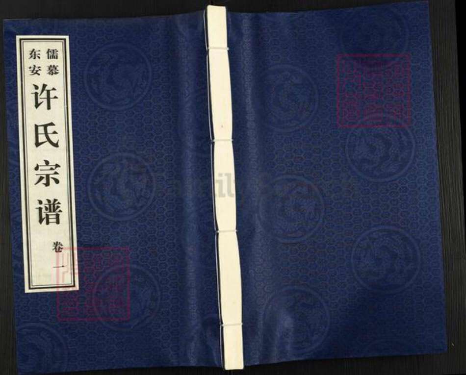 江苏省常州市武进县许氏安儒堂族谱-许氏宗谱.pdf电子版缩略图