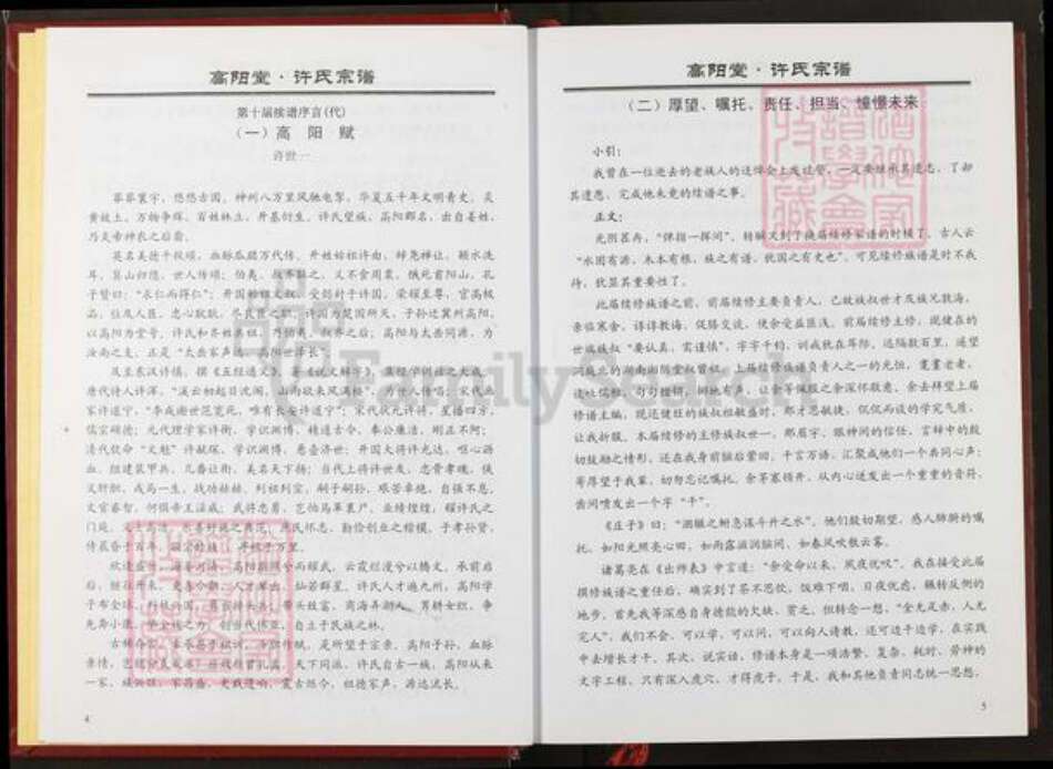 湖北省仙桃市许氏高阳堂族谱-许氏宗谱.pdf电子版预览图4