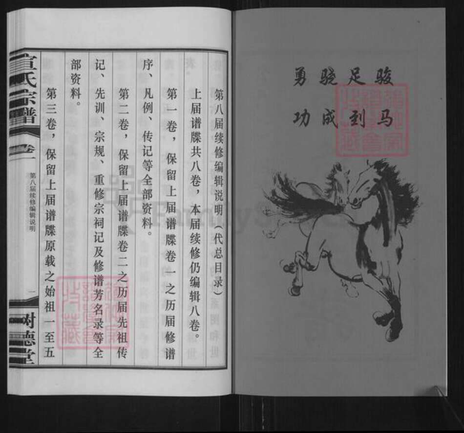 江苏省常州市新北区春江镇宣氏树德堂族谱-宣氏宗谱.pdf电子版预览图2