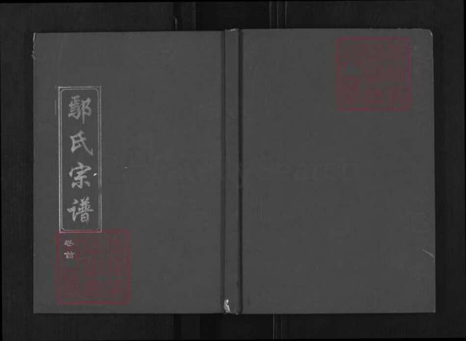 湖北省荆州市公安县鄢氏棠荫堂族谱-鄢氏宗谱.pdf电子版
