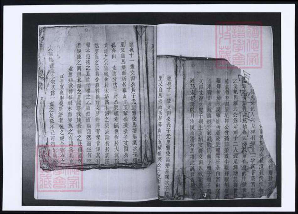 山东省青岛市即墨区鄢氏族谱-山东即墨鄢氏族谱.pdf电子版预览图1