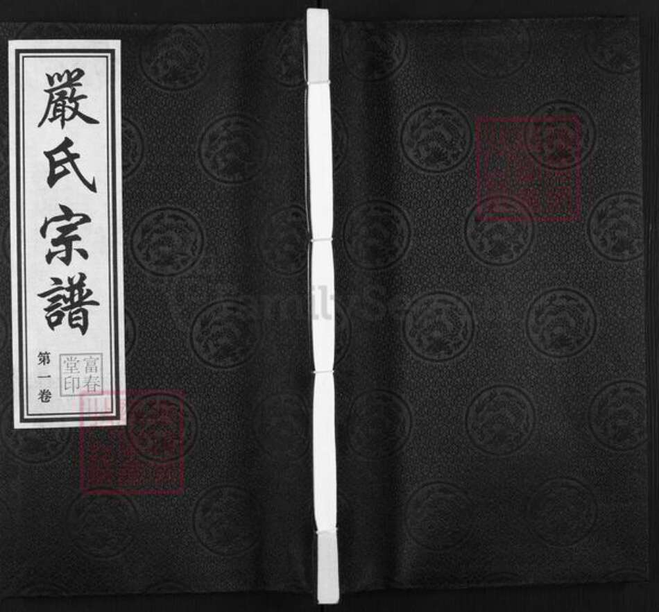 江苏省无锡市江阴市月城镇严氏富春堂族谱-严氏宗谱.pdf电子版缩略图