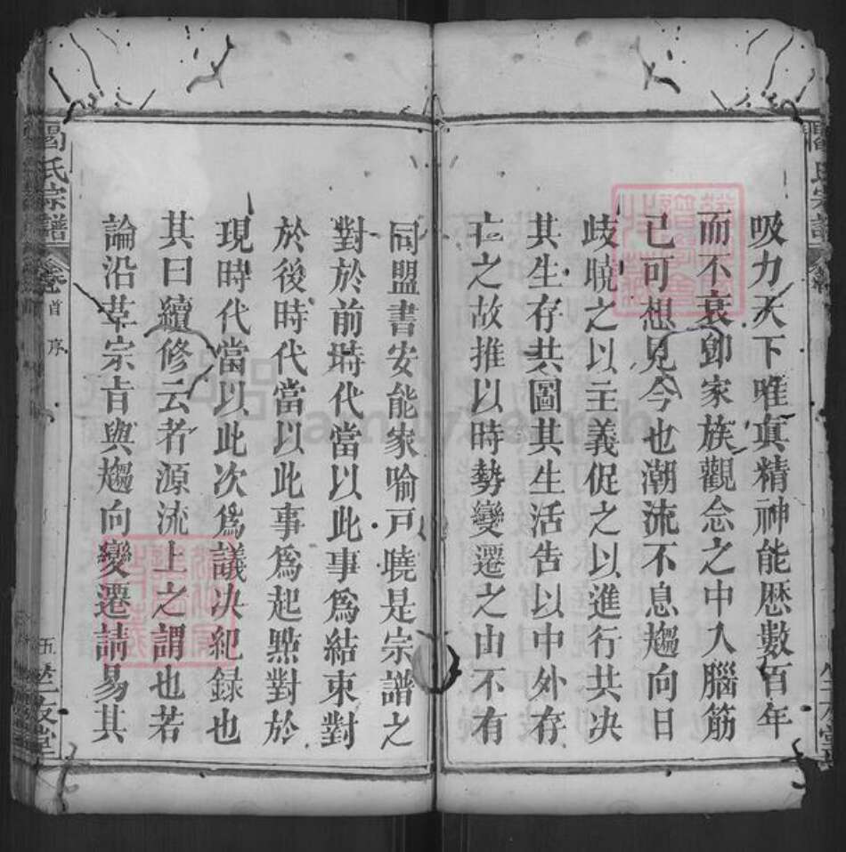湖北省黄冈市罗田县河铺镇阎氏竺友堂族谱-阎氏宗谱.pdf电子版预览图5