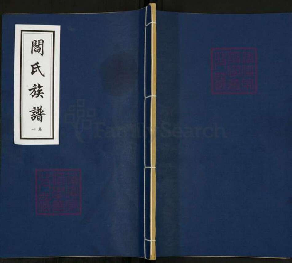 山东省菏泽市鄄城县闫什镇阎氏族谱-阎氏族谱.pdf电子版缩略图