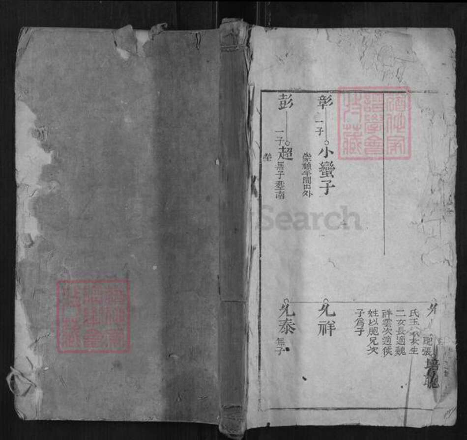 河南省安阳市林州市阎氏族谱-林虑阎氏族谱[不分卷].pdf电子版缩略图