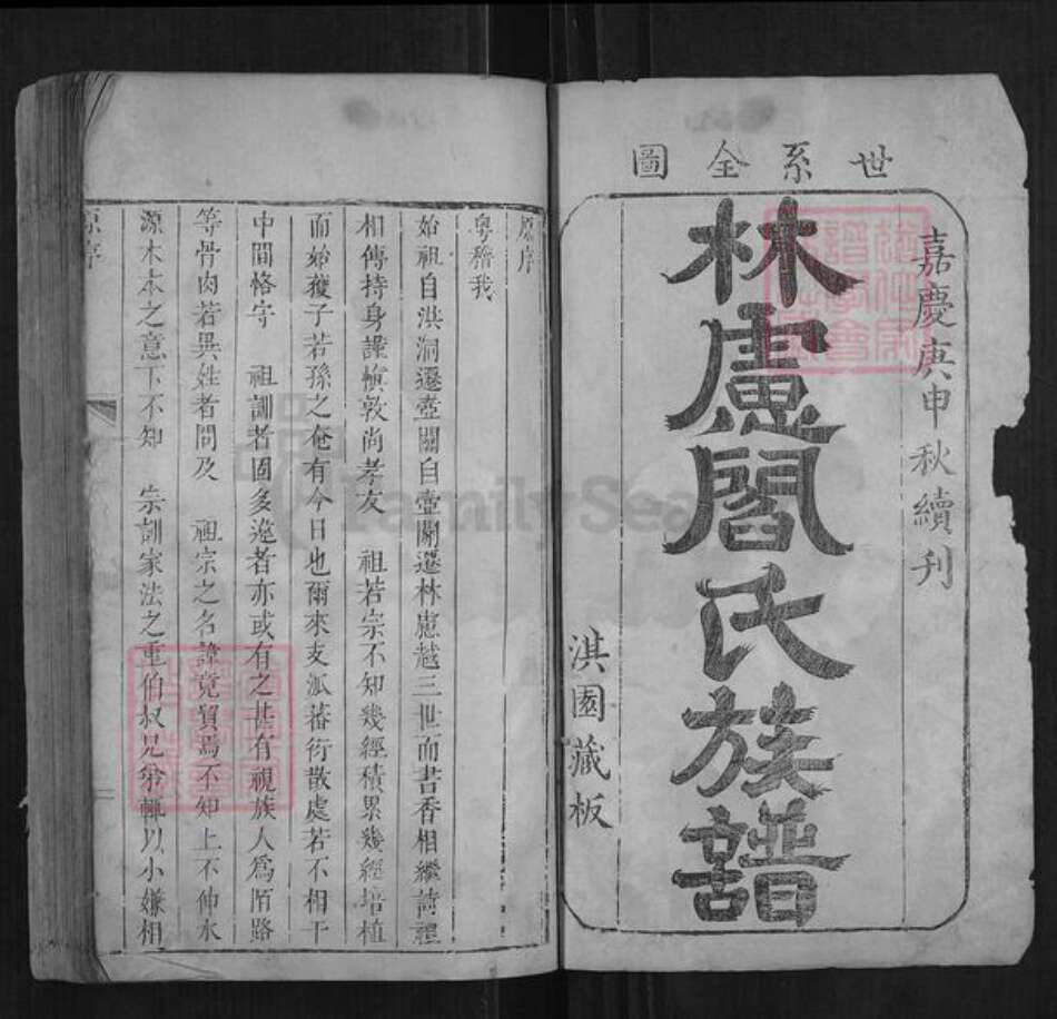 河南省安阳市林州市阎氏族谱-林虑阎氏族谱[不分卷].pdf电子版预览图1