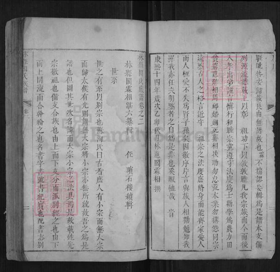 河南省安阳市林州市阎氏族谱-林虑阎氏族谱[不分卷].pdf电子版预览图2