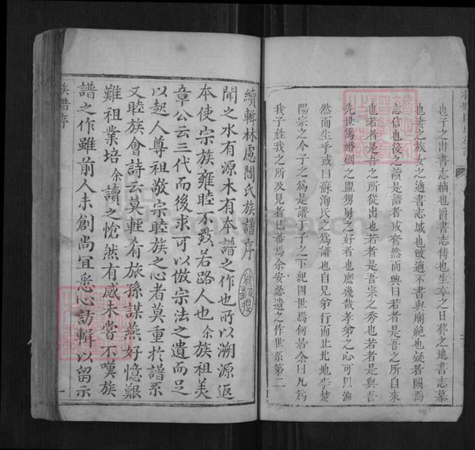 河南省安阳市林州市阎氏族谱-林虑阎氏族谱[不分卷].pdf电子版预览图3