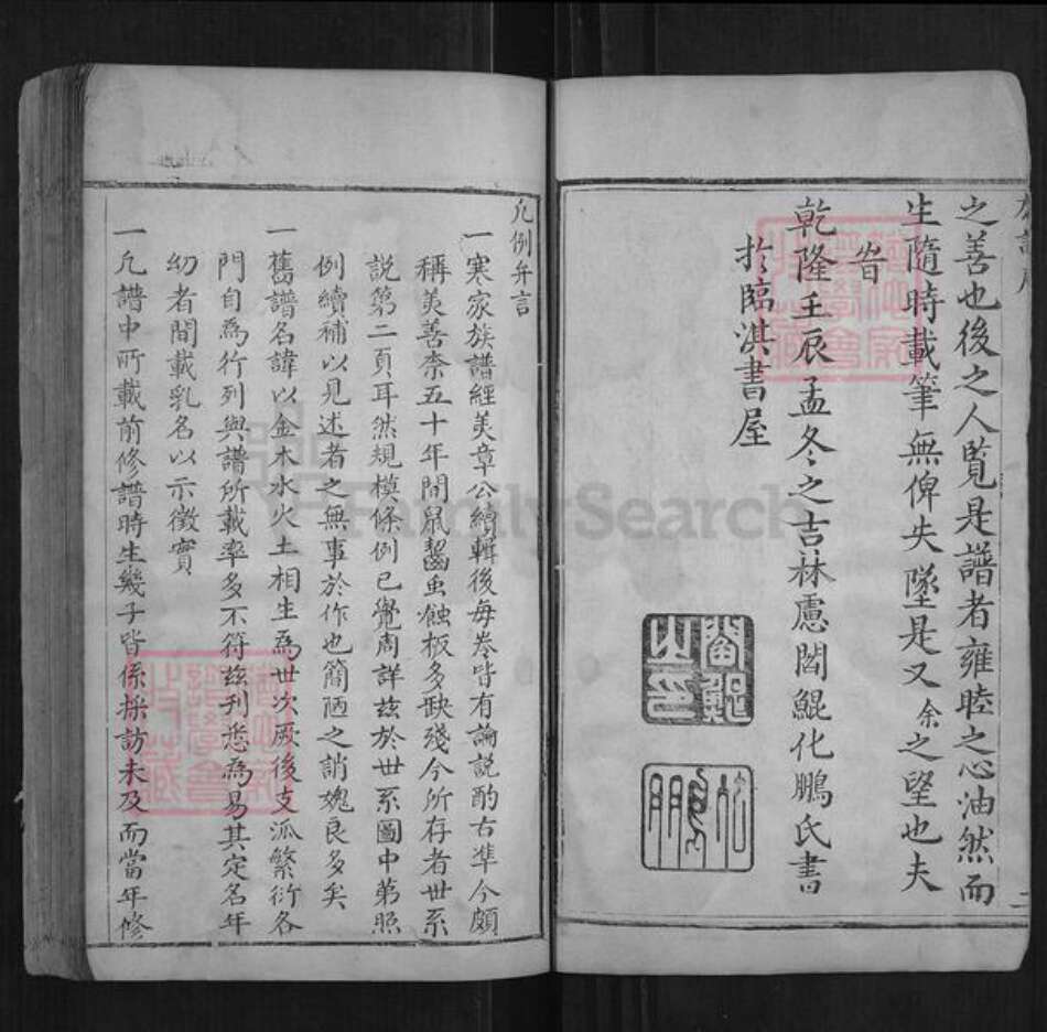 河南省安阳市林州市阎氏族谱-林虑阎氏族谱[不分卷].pdf电子版预览图5