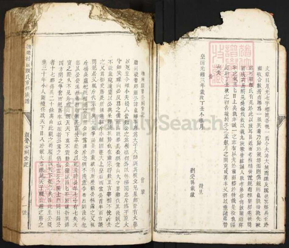 江西省抚州市乐安县湖坪乡颜氏族谱-抚乐村前颜氏重修族谱.pdf电子版预览图5