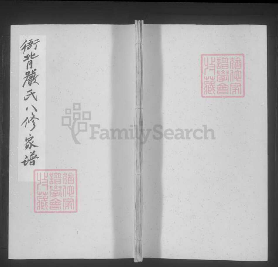 江西省严氏族谱-衙背严氏八修家谱 [不分卷].pdf电子版缩略图