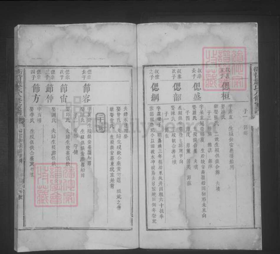 江西省严氏族谱-衙背严氏八修家谱 [不分卷].pdf电子版预览图3