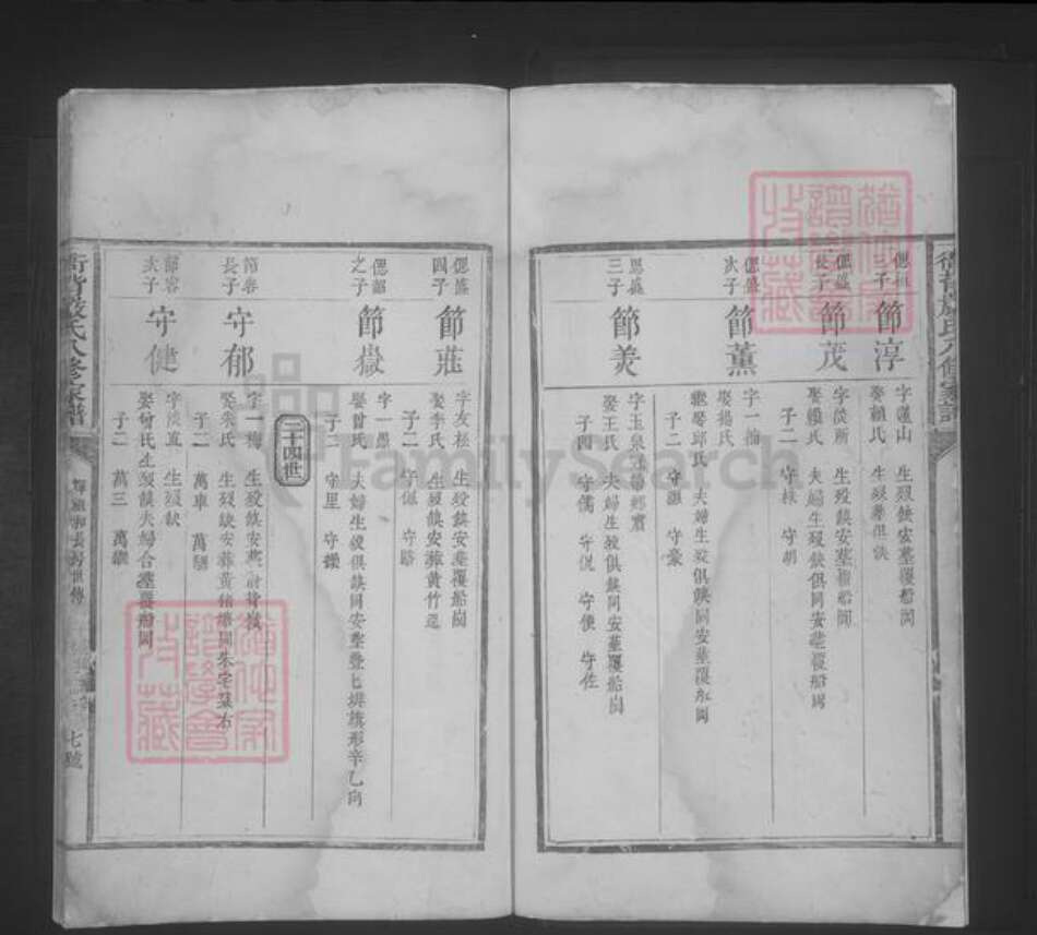 江西省严氏族谱-衙背严氏八修家谱 [不分卷].pdf电子版预览图5