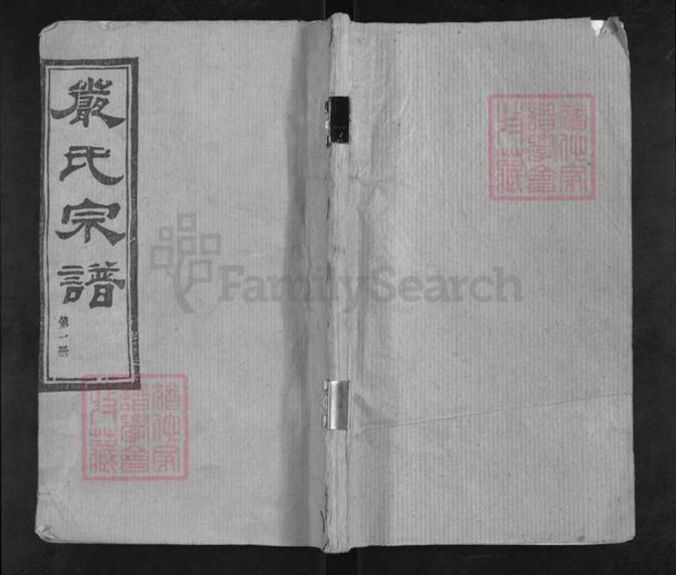 湖北省孝感市大悟县严氏芸晖堂族谱-严氏宗谱.pdf电子版缩略图