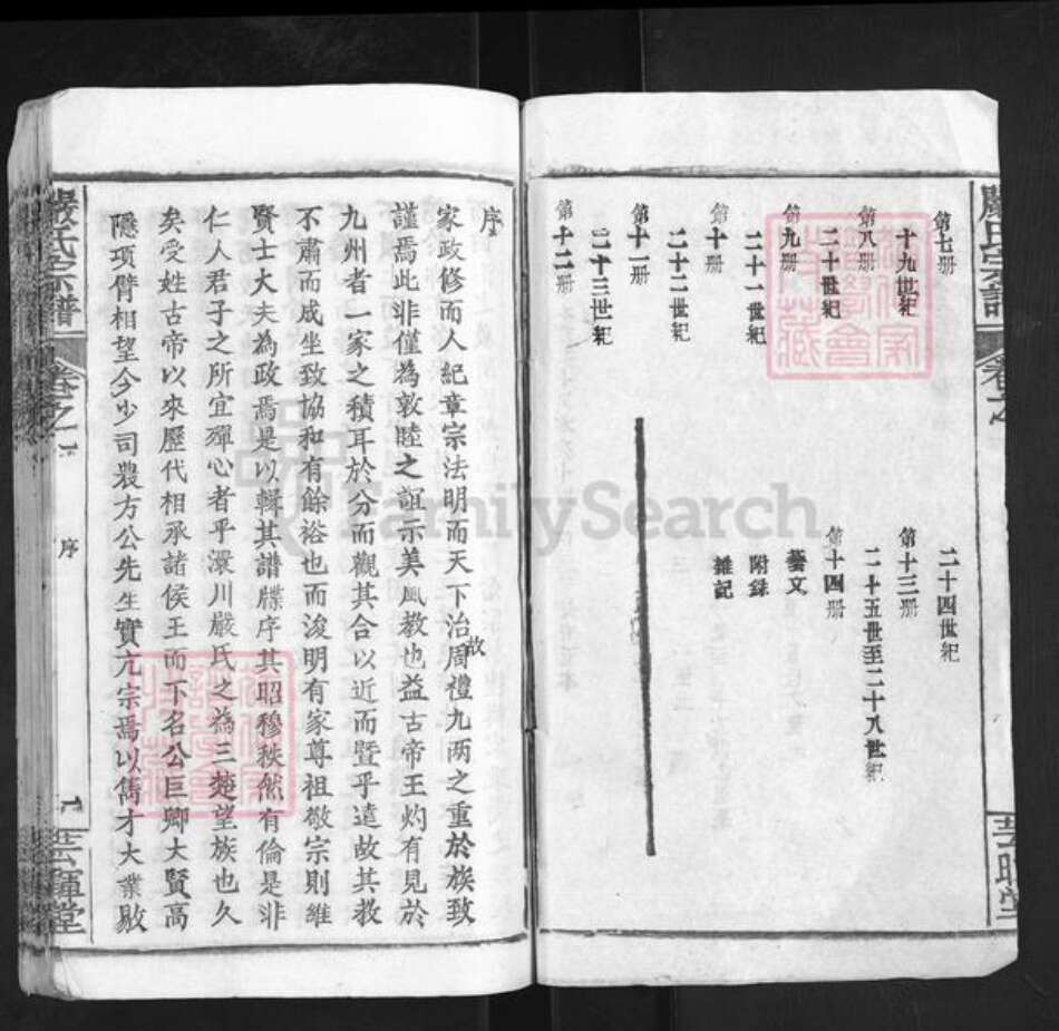 湖北省孝感市大悟县严氏芸晖堂族谱-严氏宗谱.pdf电子版预览图2