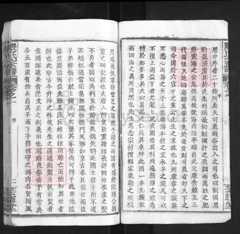 湖北省孝感市大悟县严氏芸晖堂族谱-严氏宗谱.pdf电子版预览图3