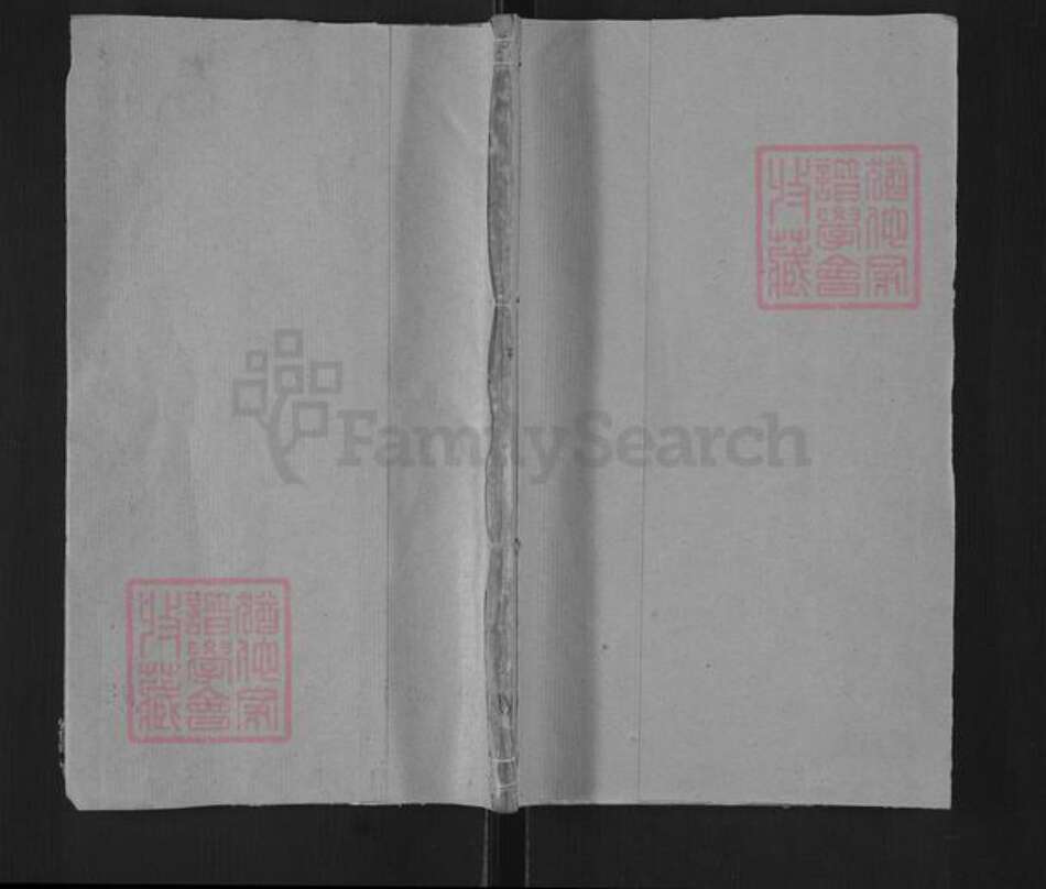 江苏省泰州市泰兴市新街镇严氏楚宝堂族谱-严氏家乘.pdf电子版缩略图