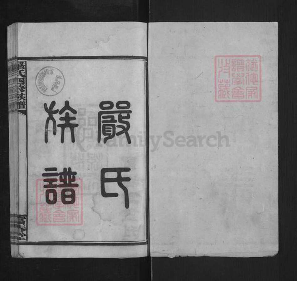 湖南省益阳市安化县严氏富春堂族谱-安化严氏族谱.pdf电子版预览图1