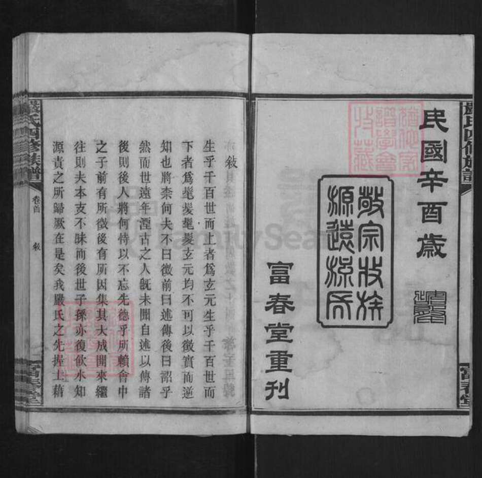 湖南省益阳市安化县严氏富春堂族谱-安化严氏族谱.pdf电子版预览图2