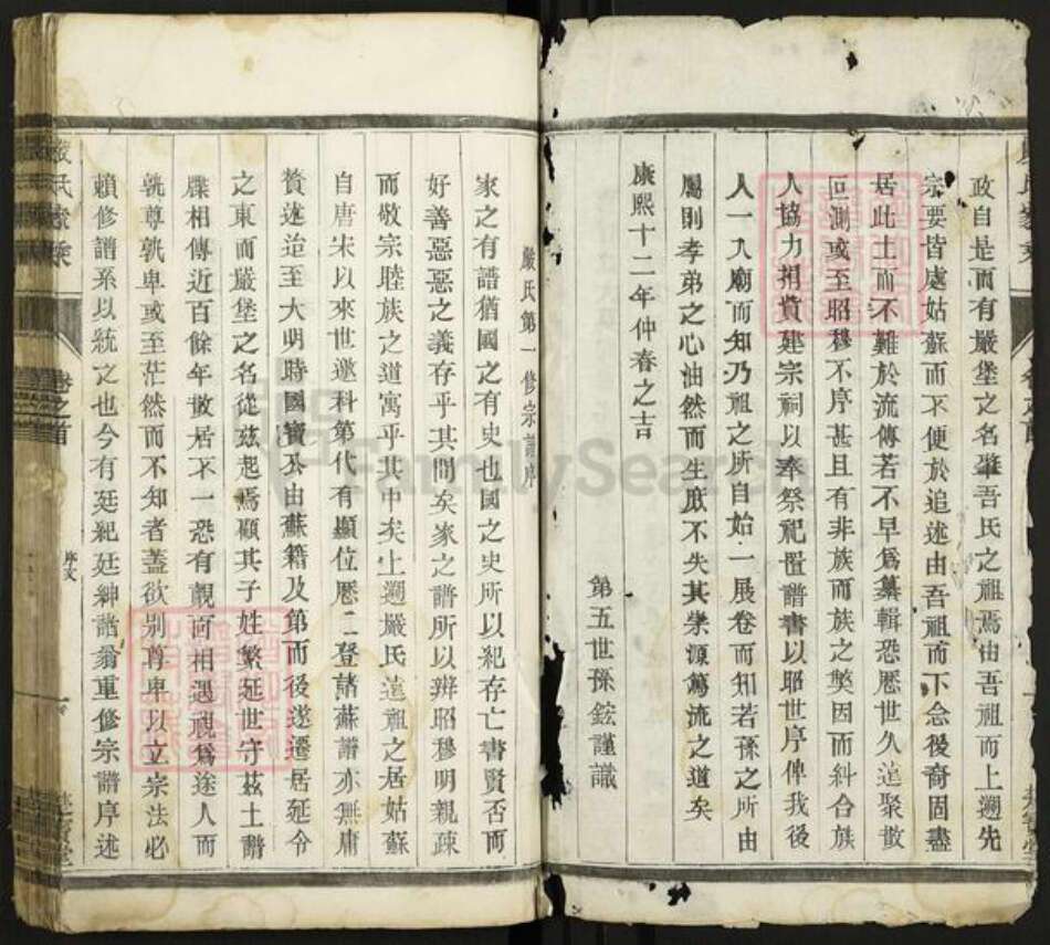 江苏省泰州市泰兴市新街镇严氏楚宝堂族谱-严氏族谱.pdf电子版预览图1