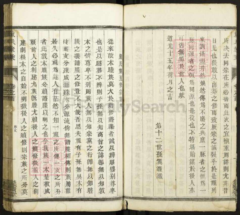 江苏省泰州市泰兴市新街镇严氏楚宝堂族谱-严氏族谱.pdf电子版预览图4