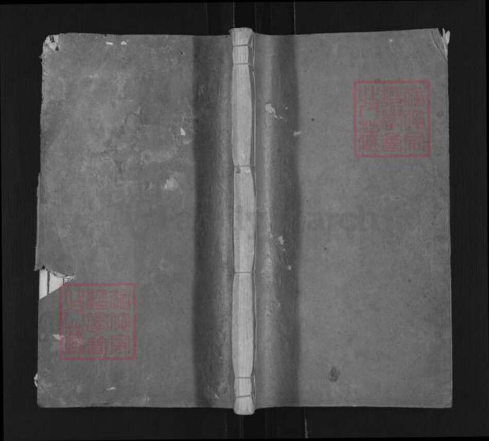 安徽省安庆市望江县严氏清廉堂族谱-严氏族谱.pdf电子版缩略图