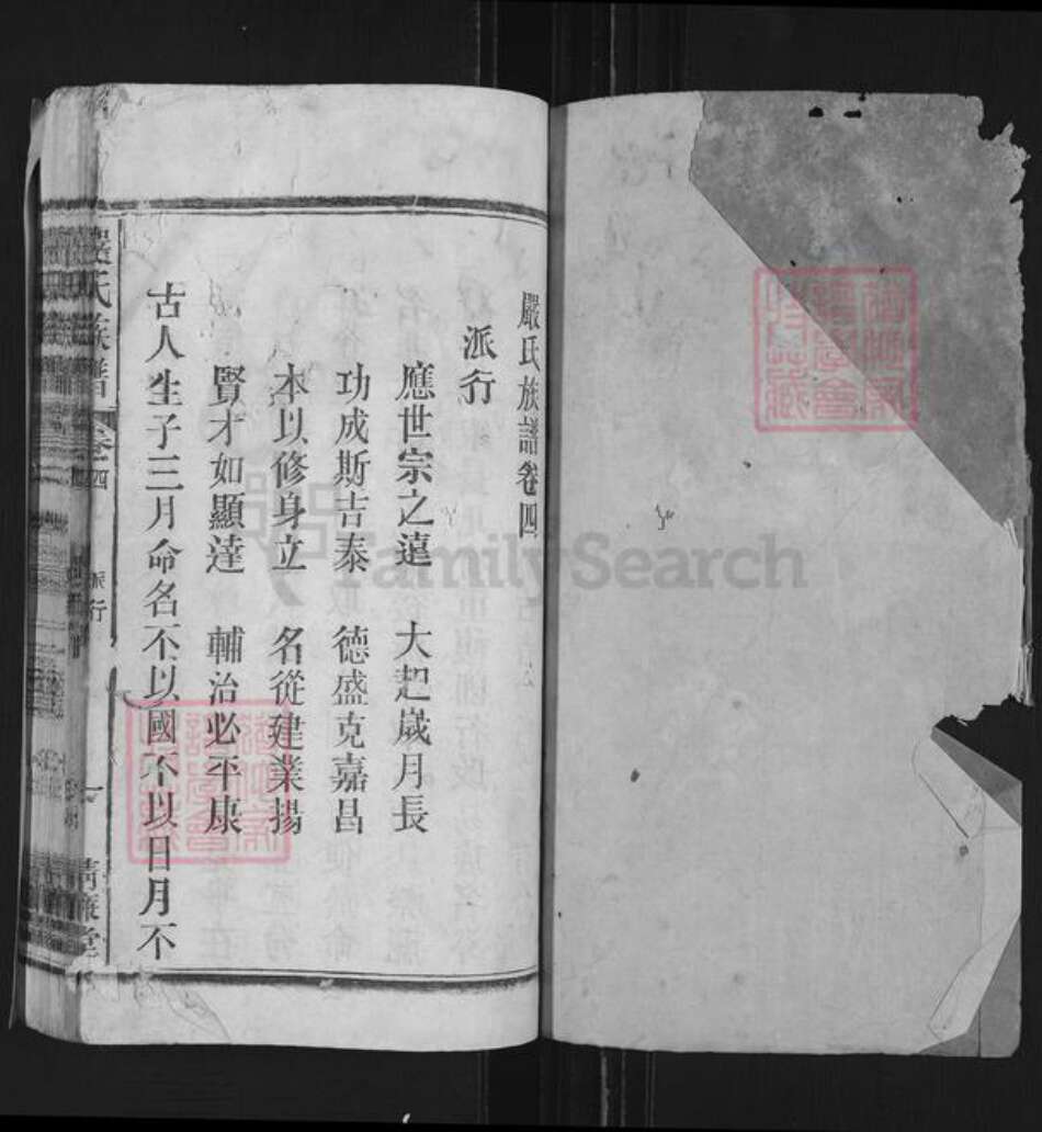 安徽省安庆市望江县严氏清廉堂族谱-严氏族谱.pdf电子版预览图1