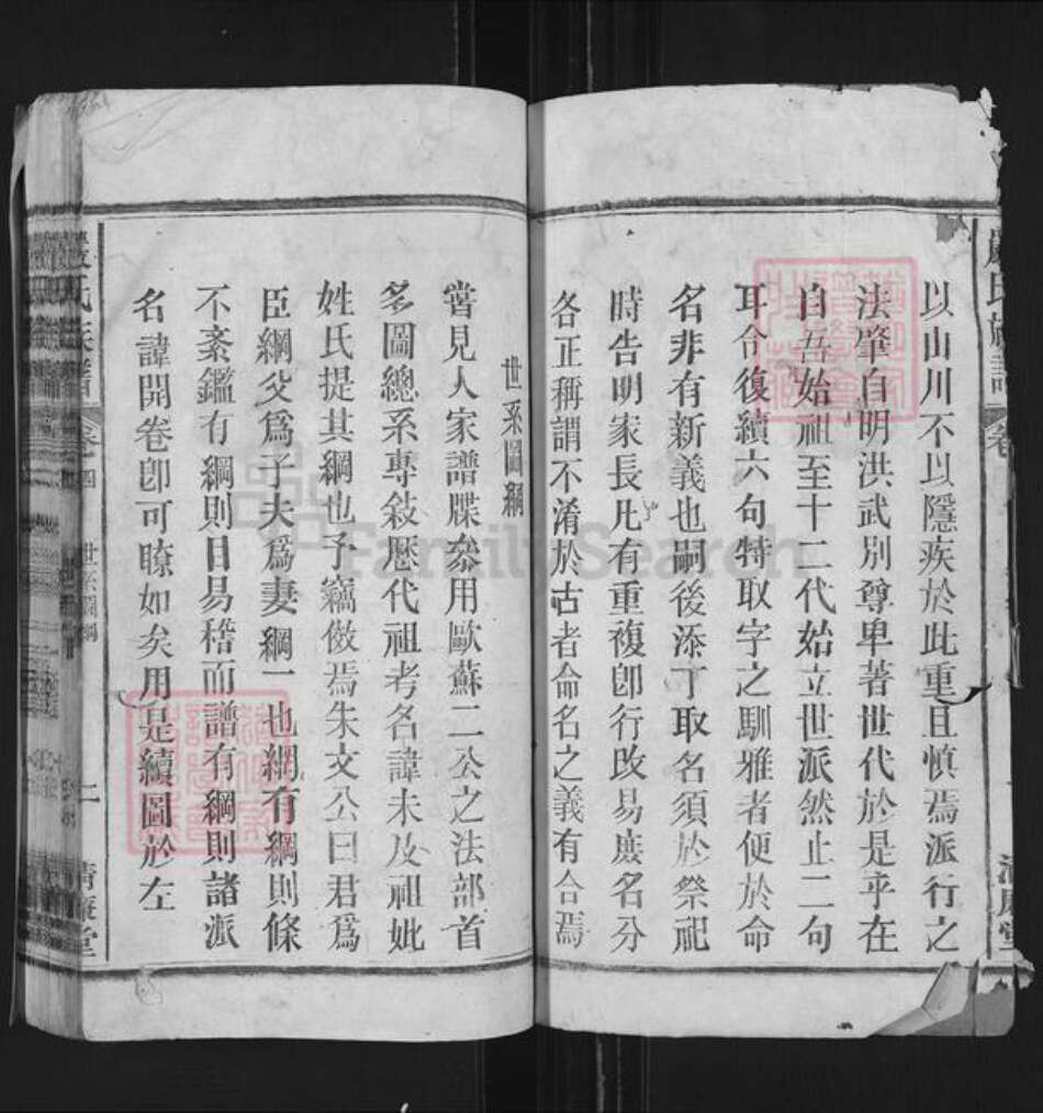 安徽省安庆市望江县严氏清廉堂族谱-严氏族谱.pdf电子版预览图2