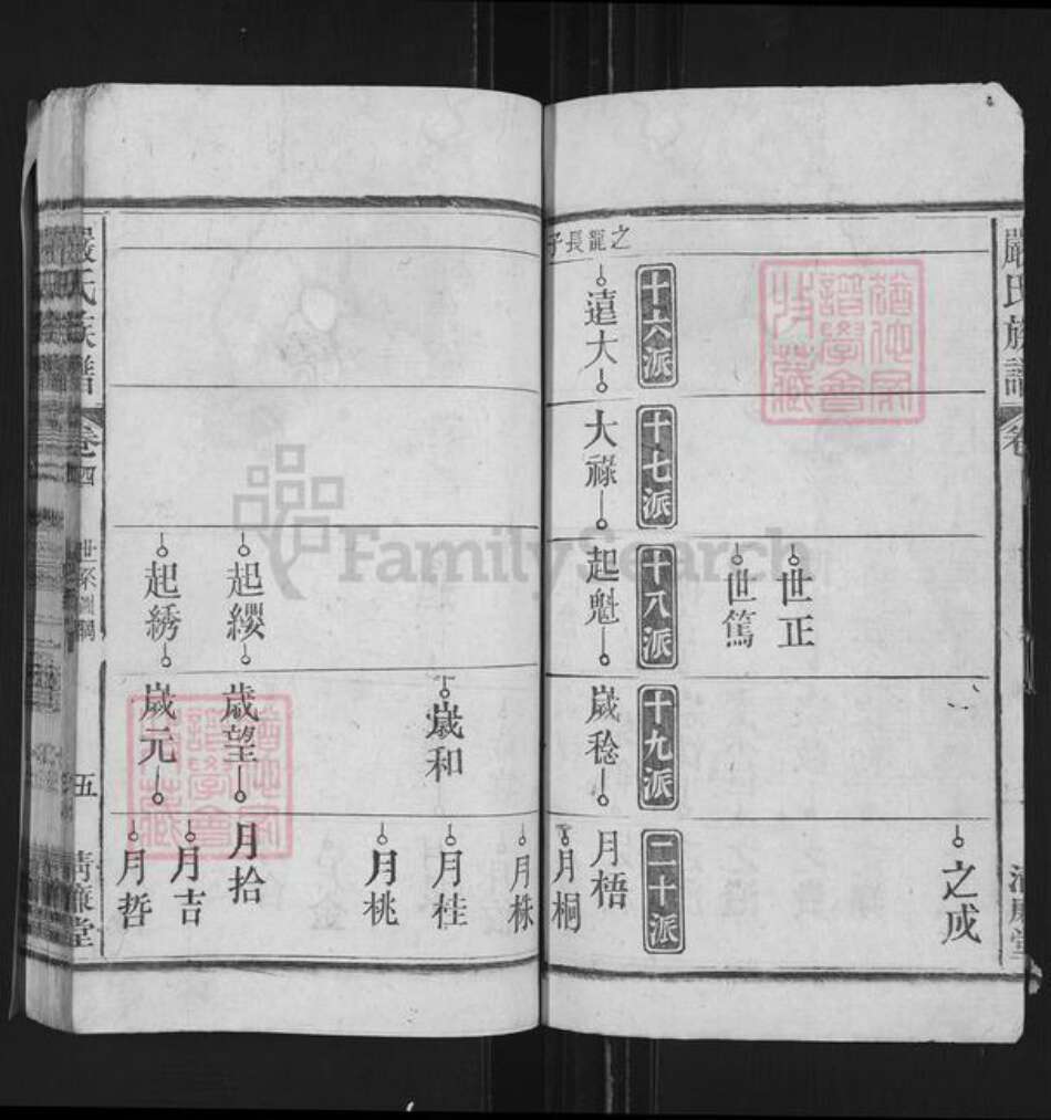 安徽省安庆市望江县严氏清廉堂族谱-严氏族谱.pdf电子版预览图5