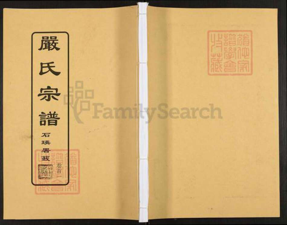 湖北省孝感市汉川市马口镇严氏富春堂族谱-严氏宗谱.pdf电子版缩略图