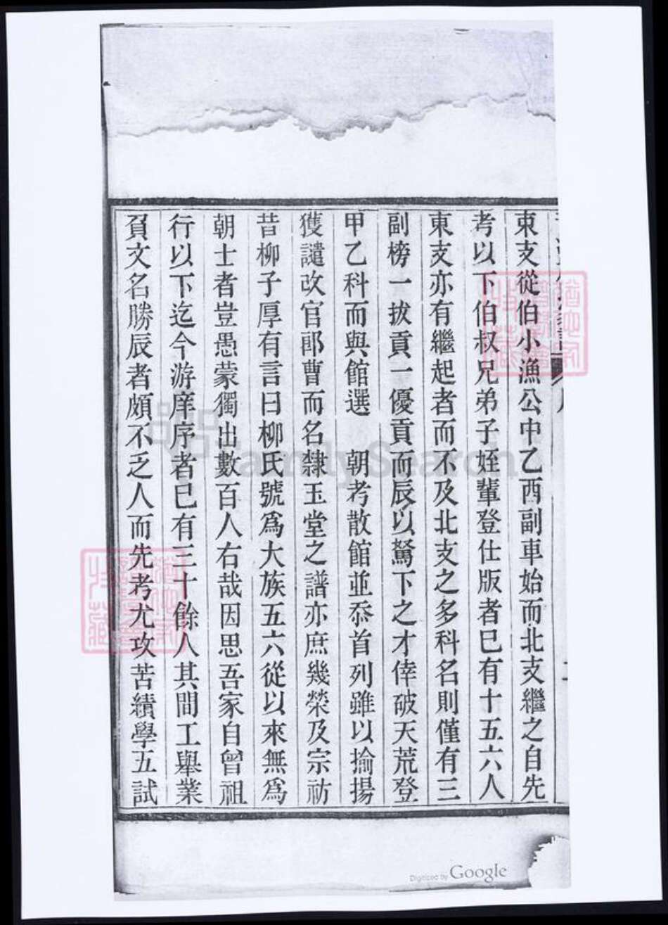 浙江省嘉兴市桐乡市严氏族谱-青溪严氏家谱.pdf电子版预览图4