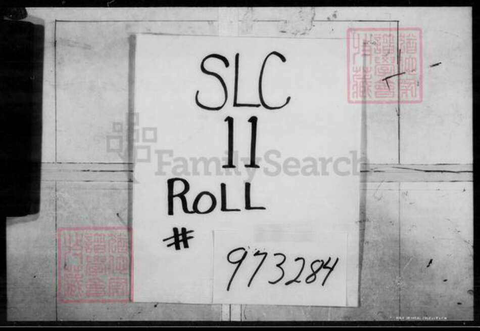 福建省广东省浙江省江苏省严；朱；庄氏族谱-朱庄严氏大族谱.pdf电子版缩略图