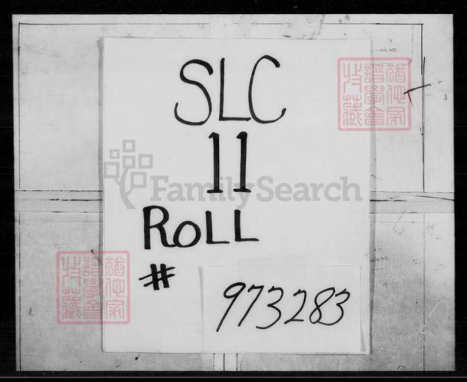 安徽省福建省广东省严；朱；庄氏朱姓：敦善堂、承庆堂庄姓：锦绣堂族谱-朱庄严氏大族谱.pdf电子版缩略图