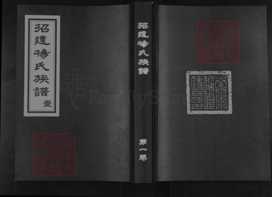 山东省烟台市招远市罗峰街道杨氏族谱-招远杨氏族谱.pdf电子版缩略图