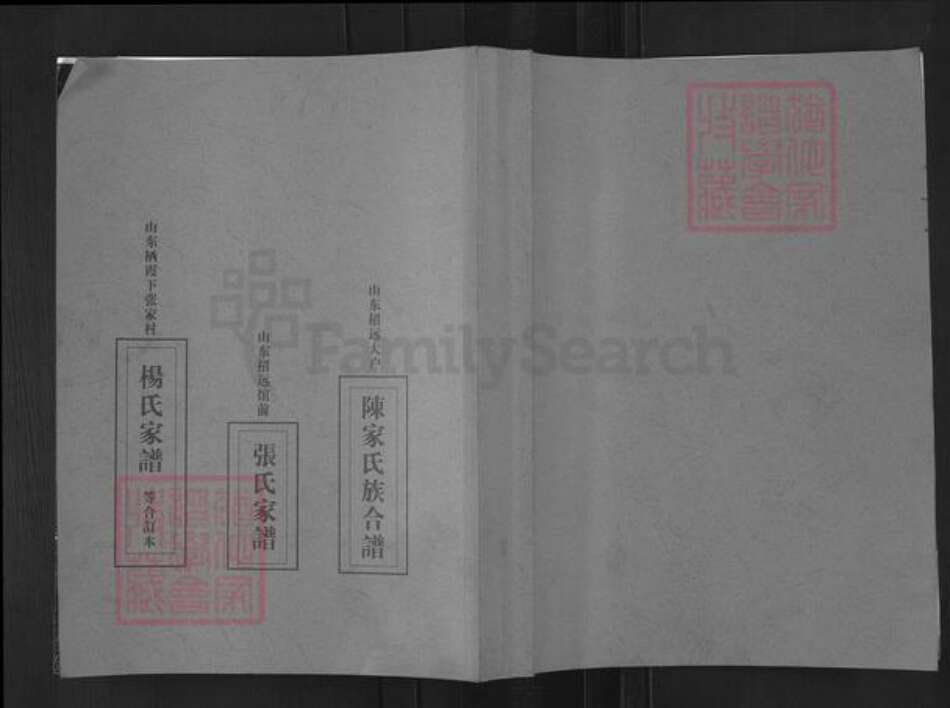 山东省烟台市栖霞市杨氏族谱-吉林市北沙河子屯(杨氏族谱).pdf电子版缩略图