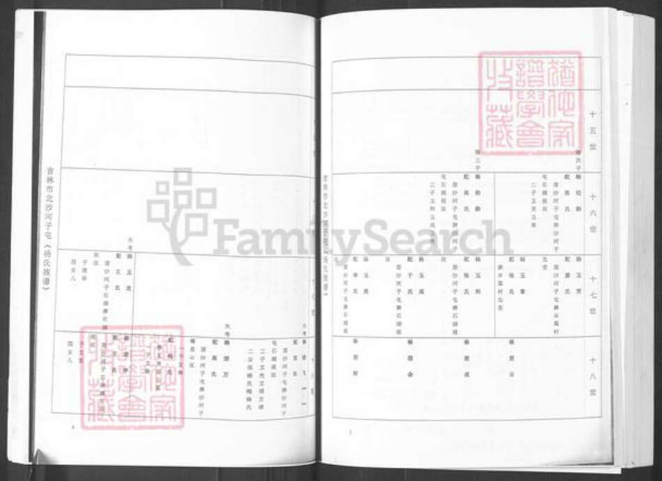 山东省烟台市栖霞市杨氏族谱-吉林市北沙河子屯(杨氏族谱).pdf电子版预览图2