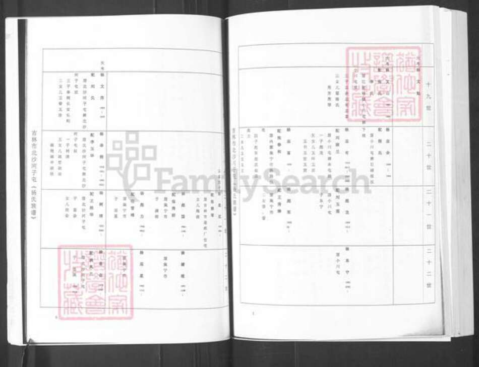 山东省烟台市栖霞市杨氏族谱-吉林市北沙河子屯(杨氏族谱).pdf电子版预览图3